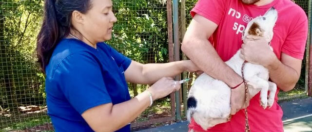 Puerto Rico: Jornada de vacunación antirrábica y entrega de antiparasitarios